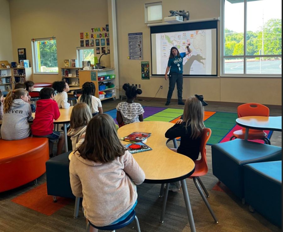 What did it look like?