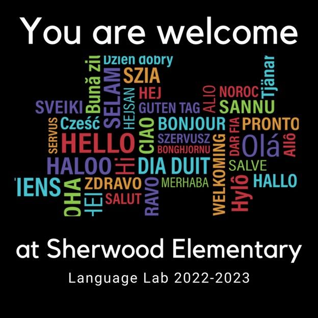 What did it look like?