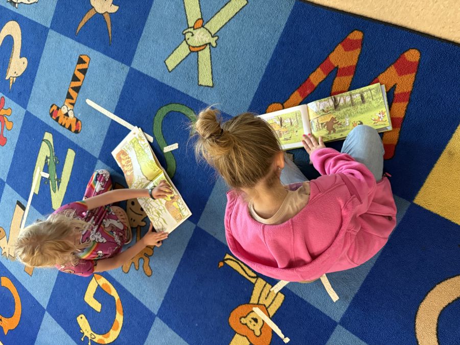 What did it look like?