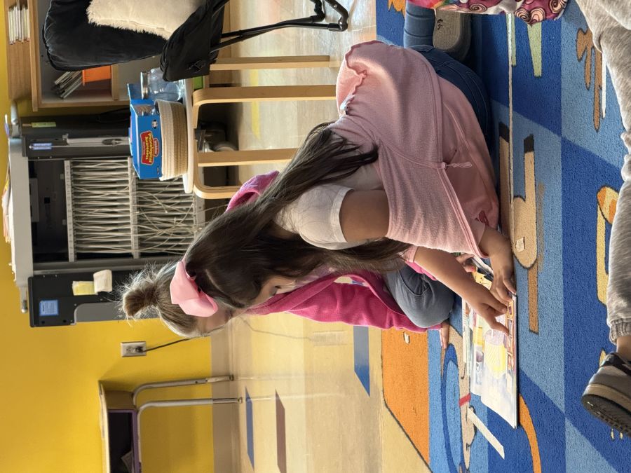 What did it look like?