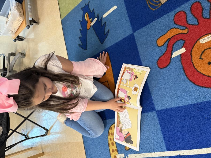 What did it look like?