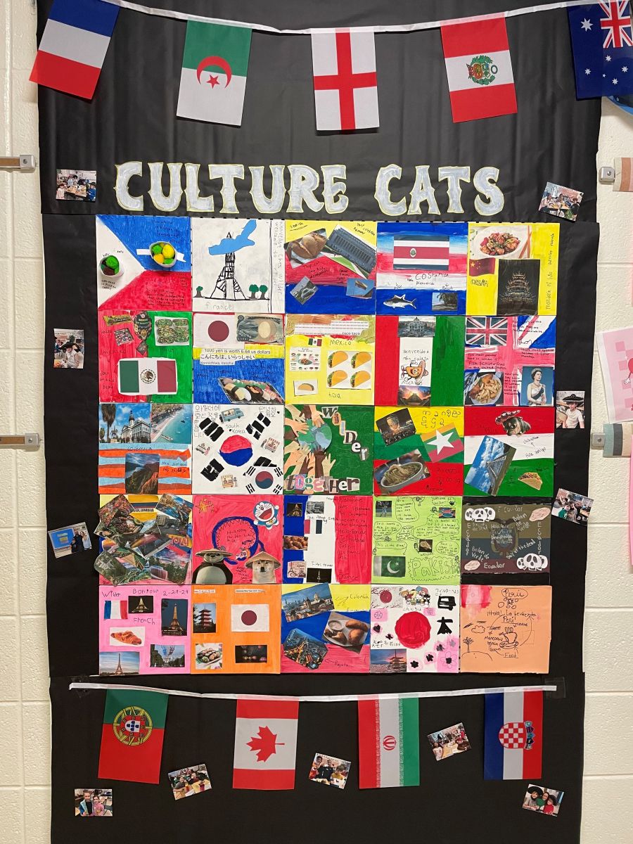 What did it look like?