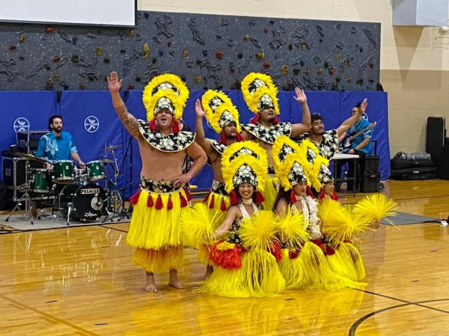 What did it look like?