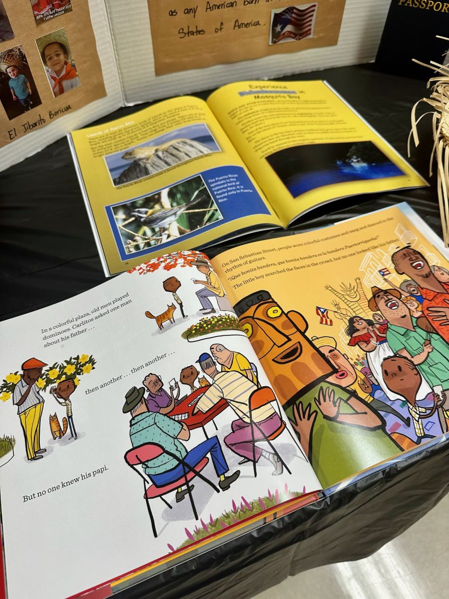 What did it look like?