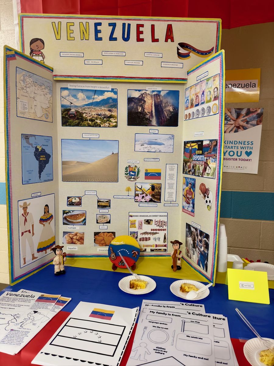 What did it look like?