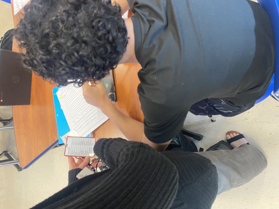 What did it look like?