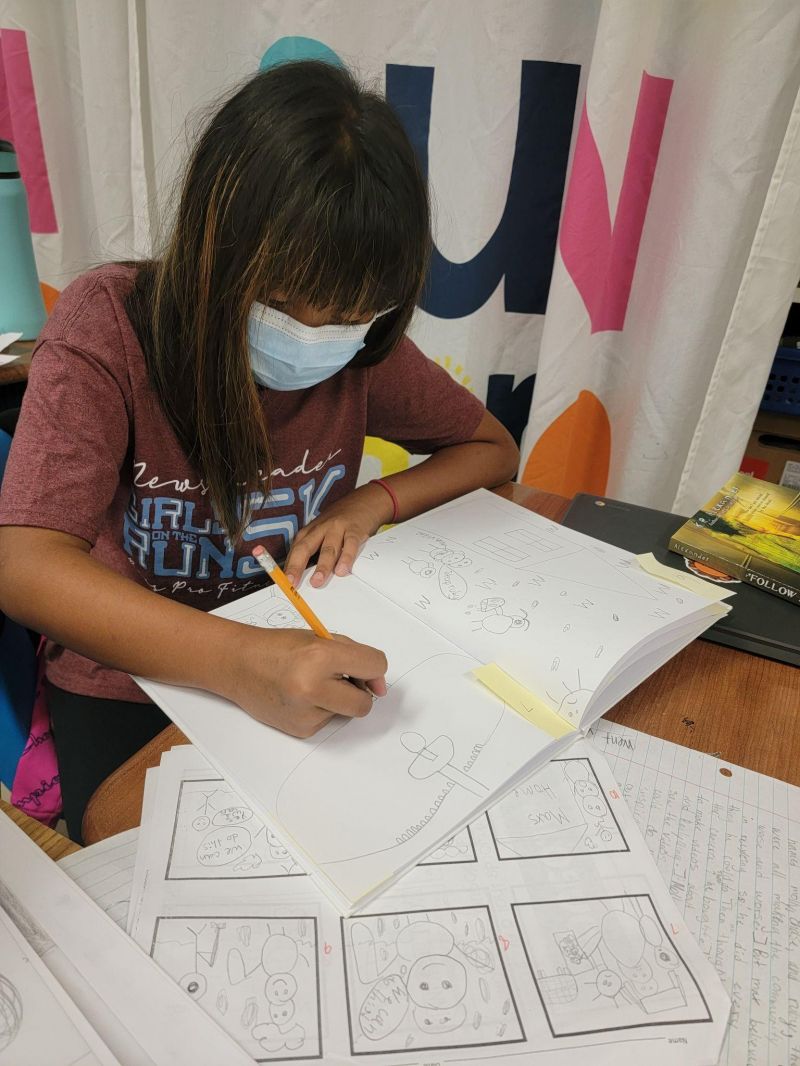 Wordless Picture Book Project - Planning, Drafting, Revising, Editing, Sharing and Publishing!