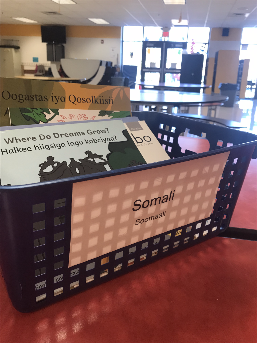 What did it look like?