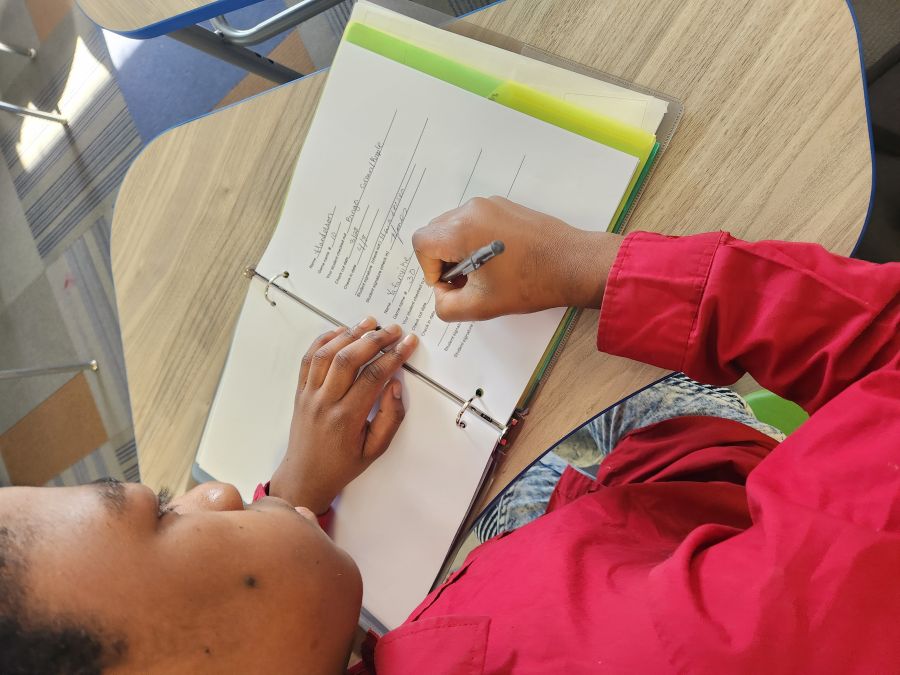 What did it look like?