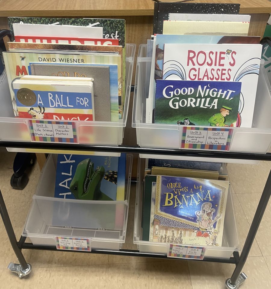 What did it look like?