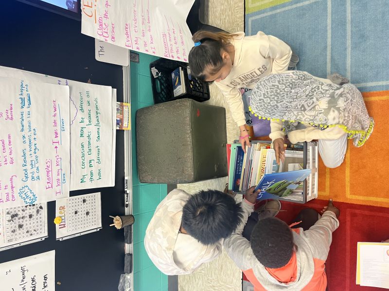 Wordless Picture Books: Bring Life to Language 