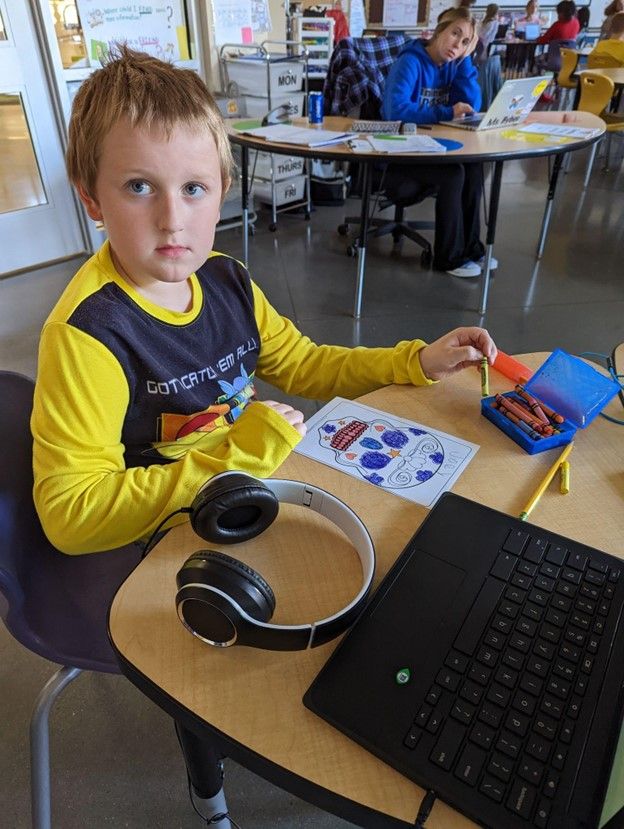 What did it look like?