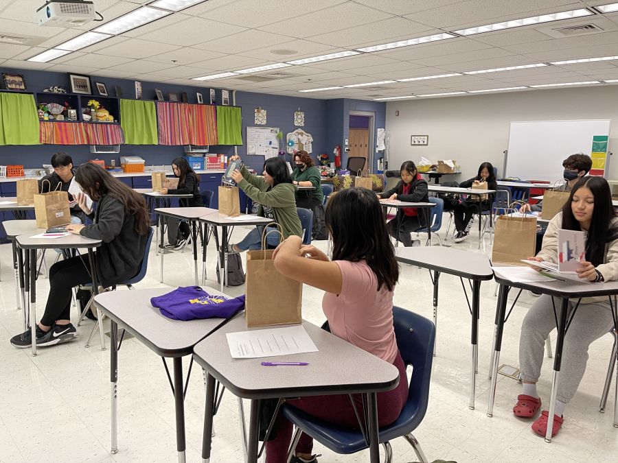 What did it look like?