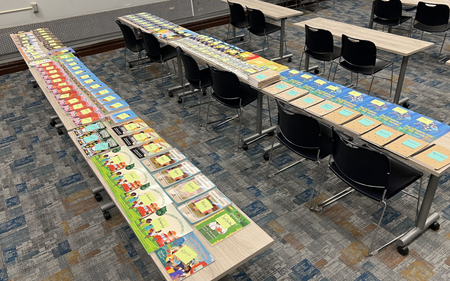 What did it look like?