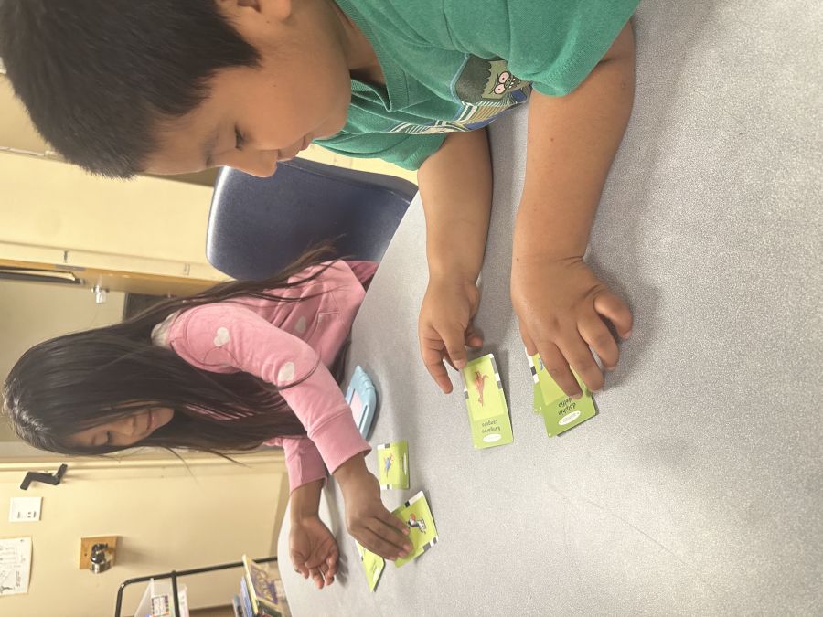 What did it look like?