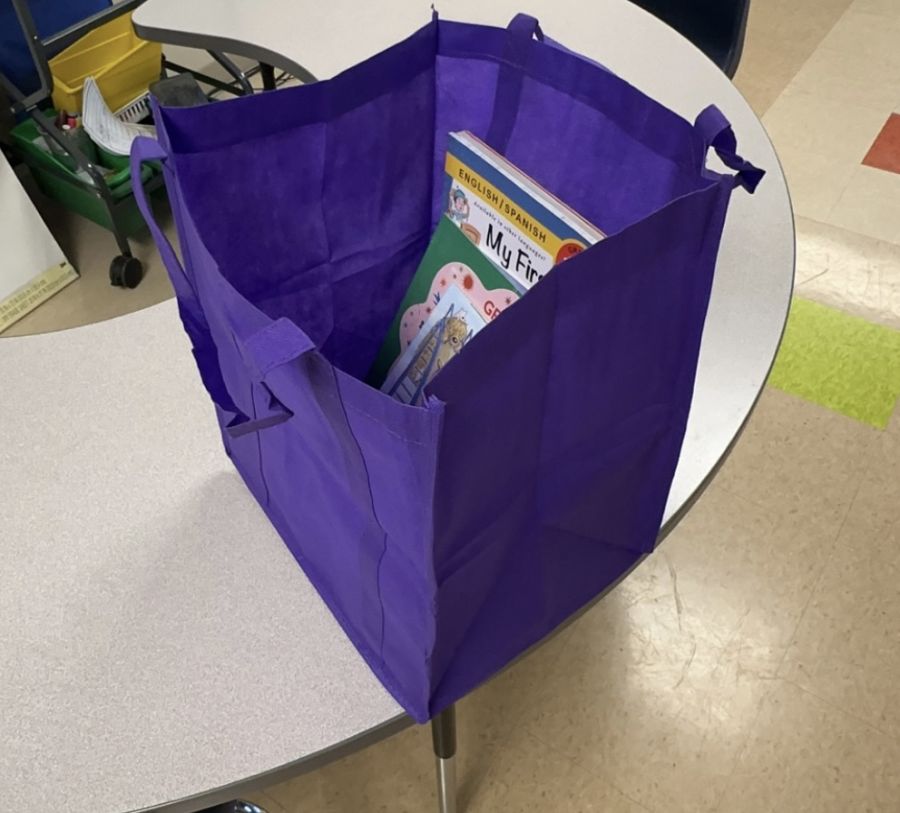 What did it look like?