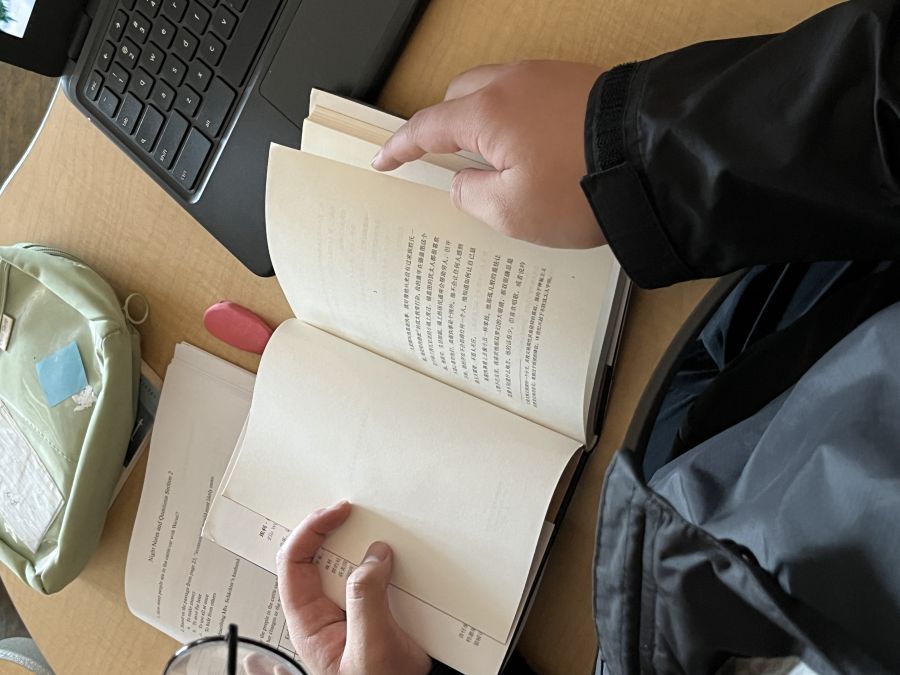 What did it look like?