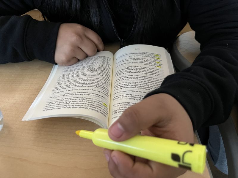 Using Bilingual Texts to Support Translanguaging for English Learners